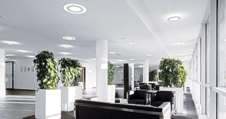 LED-uri